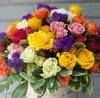 debra_torres